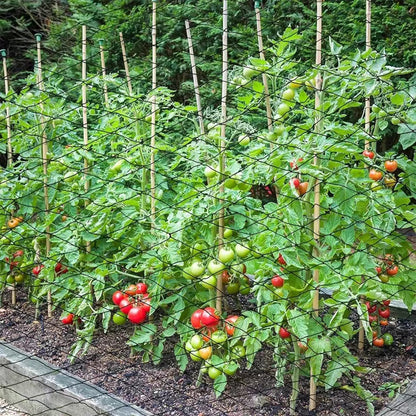 6 x 50 FT Bird Netting for Garden, 1" Square Mesh Size Heavy Duty Nylon Chicken Coop Netting for Blueberry Bushes, Fruit Trees and Vegetable Against Birds, Deer, Squirrels (6X50FT)