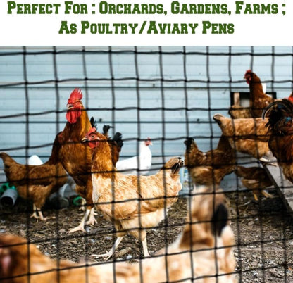 6 x 50 FT Bird Netting for Garden, 1" Square Mesh Size Heavy Duty Nylon Chicken Coop Netting for Blueberry Bushes, Fruit Trees and Vegetable Against Birds, Deer, Squirrels (6X50FT)