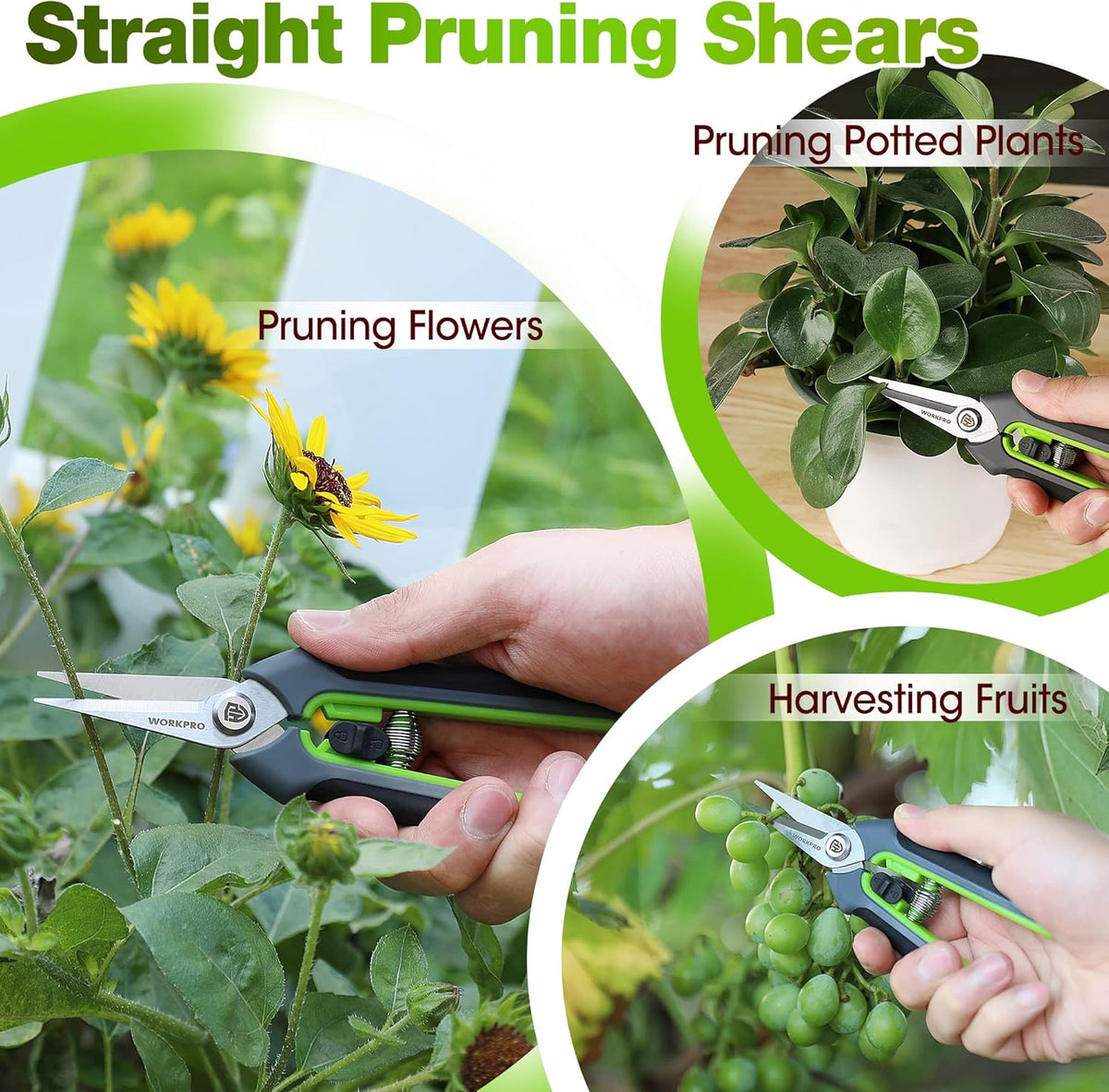 2-Pack Garden Pruning Shears, 8" Bypass & 6.25" Straight Shears