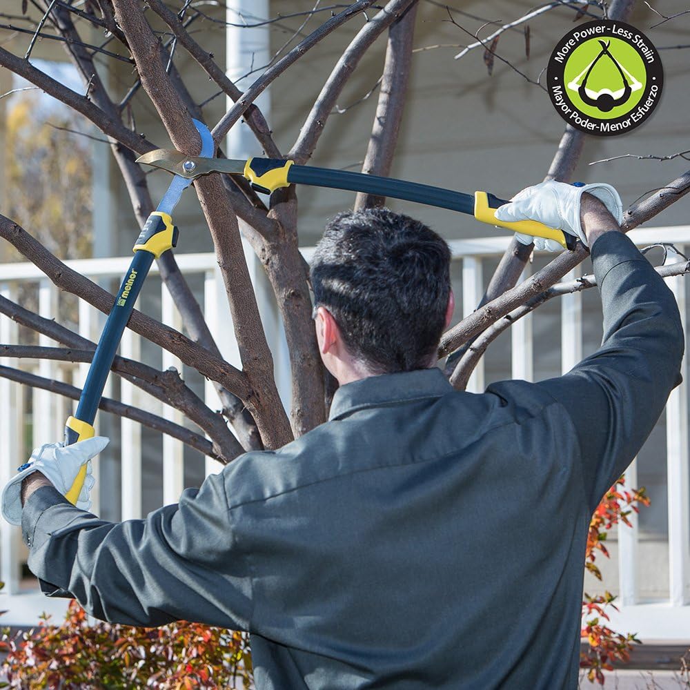 Pro Lopper & Pruner Value Pack - Forged Steel Blades - Includes 28”-37” Telescoping Bypass Loppers and 8.5” Professional Bypass Pruners