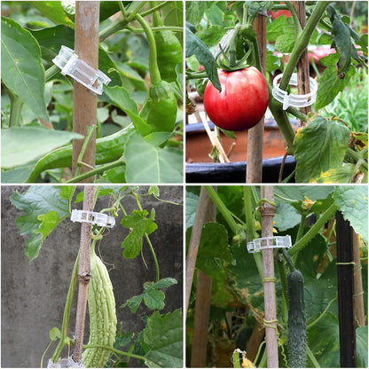 200 Pcs Plastic Trellis Plant Support Clips for Support, Grape and Tomato Vine, Vegetables Plants, Garden Clips to Grow Upright Makes Plants Healthier