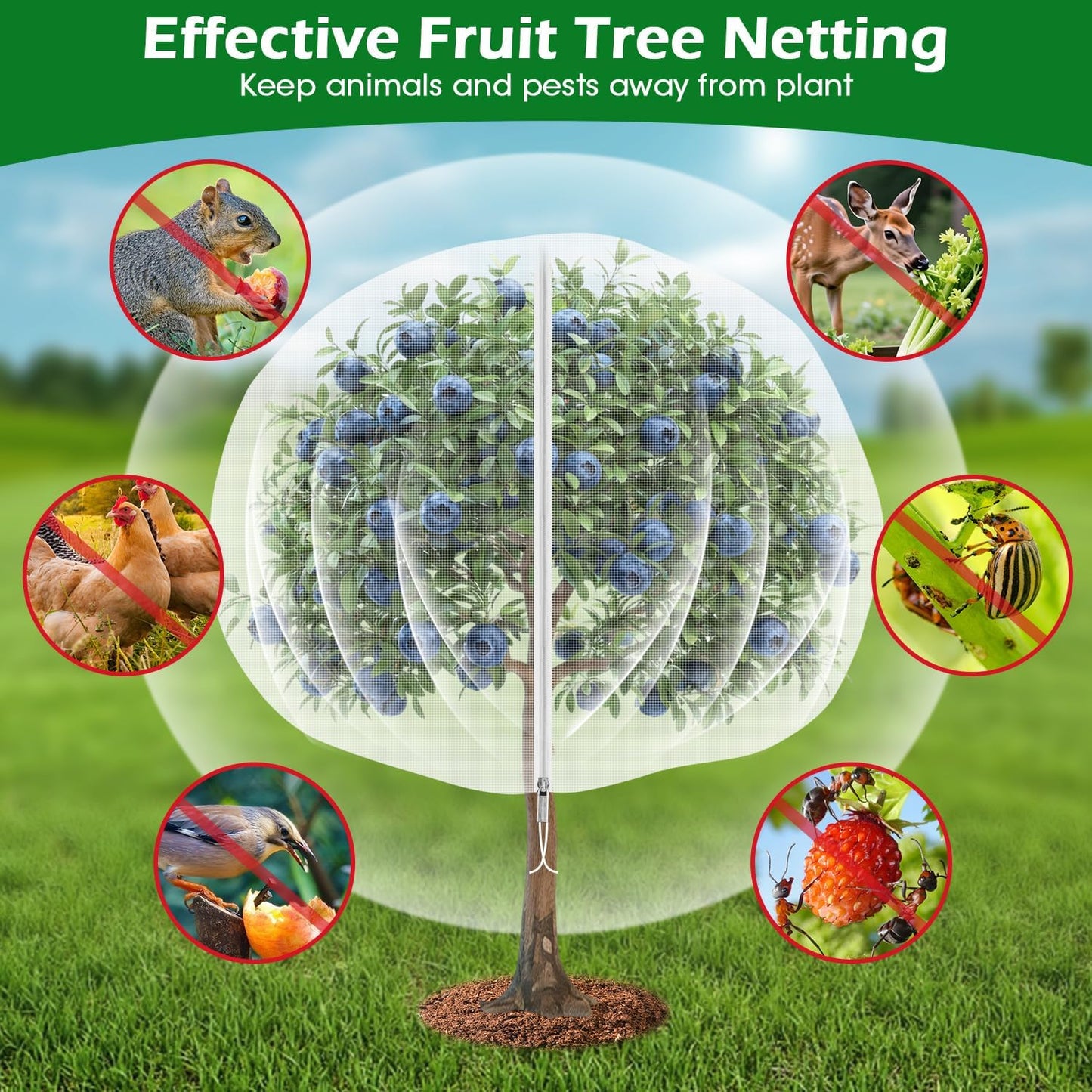 6'x6' Fruit Tree Netting Cover with Zipper and Drawstring