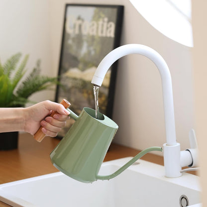 1L/35oz Metal Watering Can Indoor with Long Spout, Sage Green