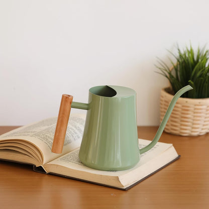 1L/35oz Metal Watering Can Indoor with Long Spout, Sage Green