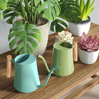 1L/35oz Metal Watering Can Indoor with Long Spout, Sage Green