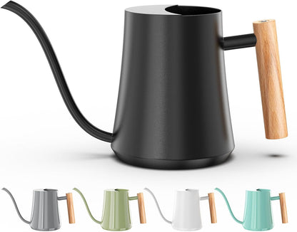 1L/35oz Metal Watering Can Indoor with Long Spout, Sage Green
