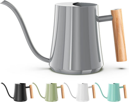 1L/35oz Metal Watering Can Indoor with Long Spout, Sage Green