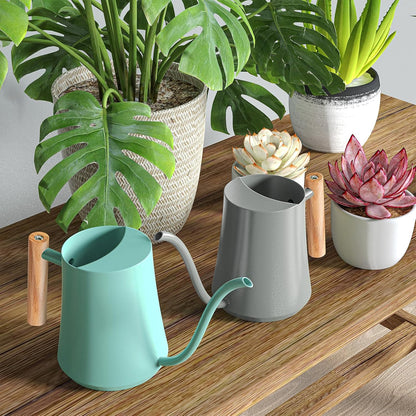 1L/35oz Metal Watering Can Indoor with Long Spout, Sage Green