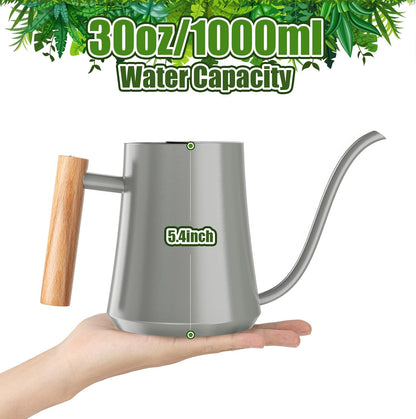 1L/35oz Metal Watering Can Indoor with Long Spout, Sage Green