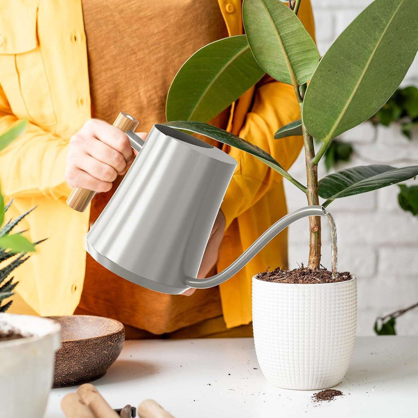 1L/35oz Metal Watering Can Indoor with Long Spout, Sage Green