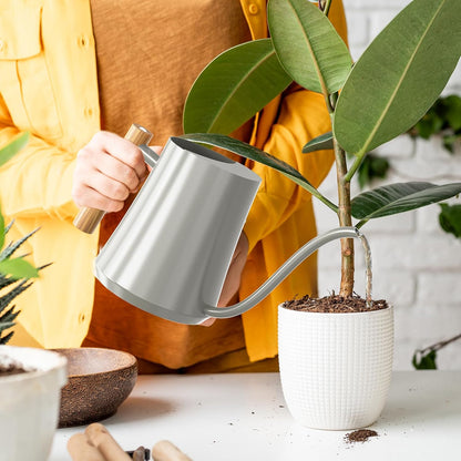 1L/35oz Metal Watering Can Indoor with Long Spout, Sage Green