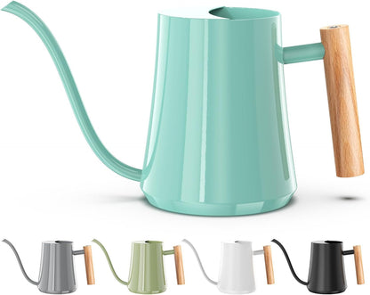 1L/35oz Metal Watering Can Indoor with Long Spout, Sage Green