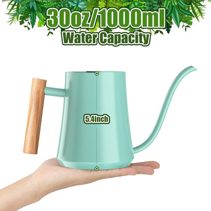 1L/35oz Metal Watering Can Indoor with Long Spout, Sage Green