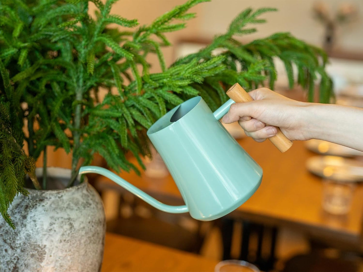1L/35oz Metal Watering Can Indoor with Long Spout, Sage Green