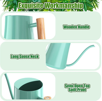 1L/35oz Metal Watering Can Indoor with Long Spout, Sage Green