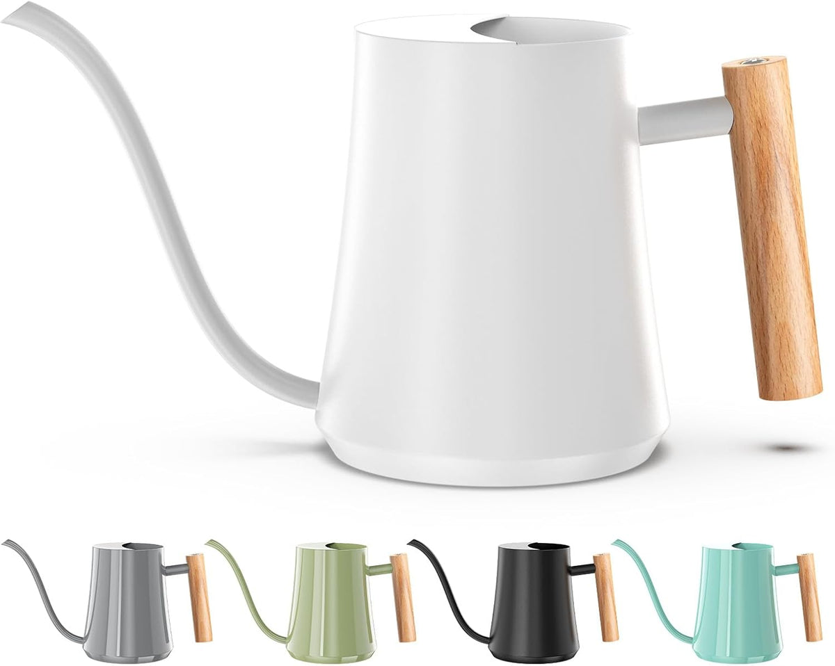 1L/35oz Metal Watering Can Indoor with Long Spout, Sage Green