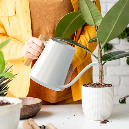 1L/35oz Metal Watering Can Indoor with Long Spout, Sage Green