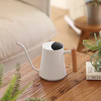 1L/35oz Metal Watering Can Indoor with Long Spout, Sage Green