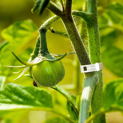 Tomato Support Clips, Plant Vegetable Support Hook Clip, Garden Support Clips, Grape Vine, Vegetables Plants Tomato Trellis Clips to Prevent Tomatoes from Pinching or Falling Off(200 Pieces)