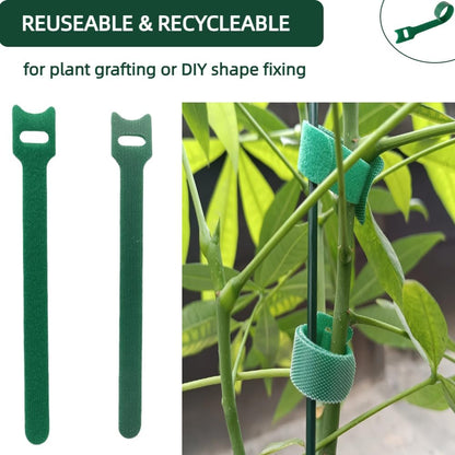 100Pcs 6-Inch Green Reusable Adjustable Plant Ties & Garden Tape