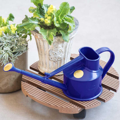 Indoor Plastic Watering Can | The HAWS Langley Sprinkler - One Pint | Pot Waterer | Fine Spray Rose | Recycled - Black