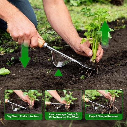 2 Pack Crack Weeder Tool with Bonus Root Hook, Lightweight Manual Weeding Tool for Sidewalk Cracks, Patio, Driveway & Pavers, Ergonomic Weed Remover for Grass, Moss & Small Weeds