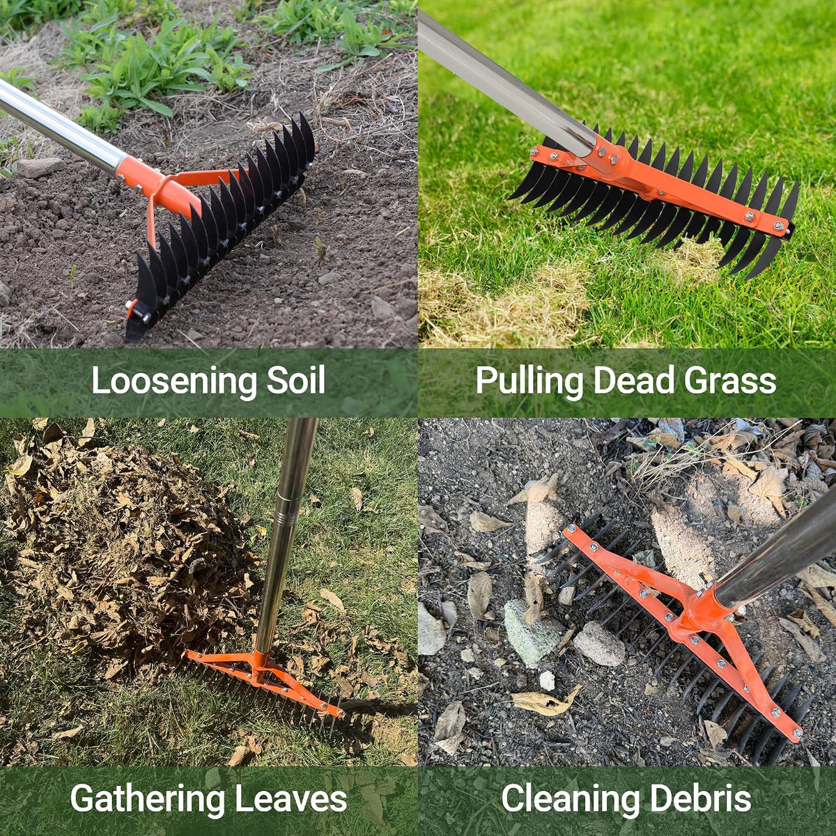 62.5 Inch Thatch Rake for Lawns 18 Sharp Tempered Spring Steel Tines
