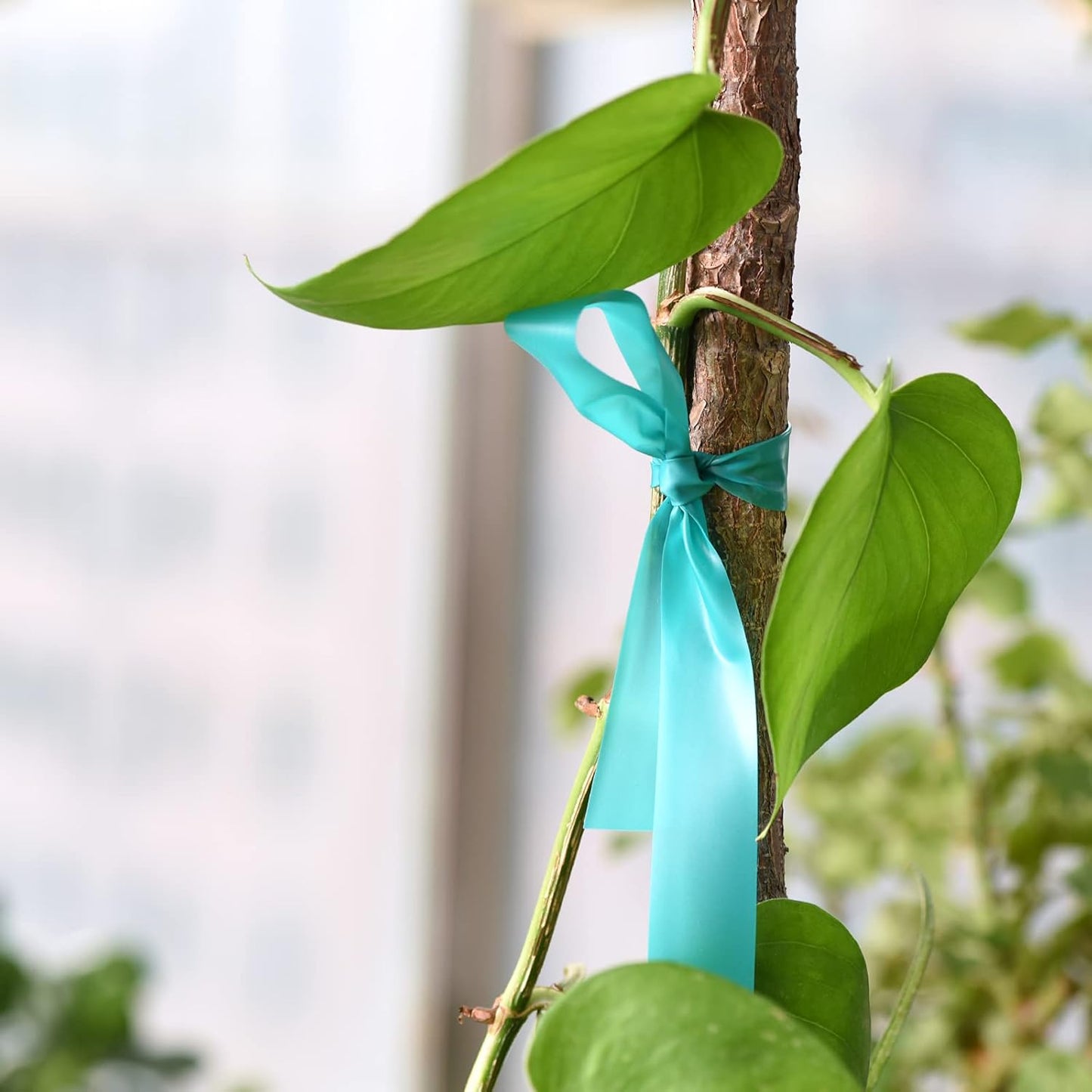 Stretch Tie Tape, 1” Wide 200FT Reusable Garden Plant Ties Green Tapes for Plants, Thick Garden Vinyl Stake Ribbon for Branches Flowers Tomatoes Indoor Outdoor Greenhouse