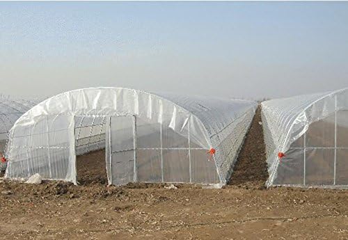 3.9Mil Plastic Covering Clear Polyethylene Greenhouse Film UV Resistant for Grow Tunnel and Garden Hoop, Plant Cover&Frost Blanket for Season Extension,Keep Warm and Frost Protection,6.5x32ft
