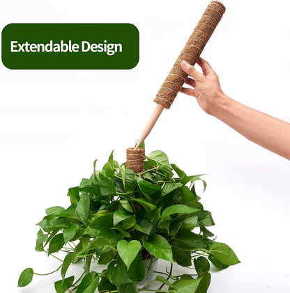 Eibikdi Moss Pole 68in for Plants Monstera 6pcs