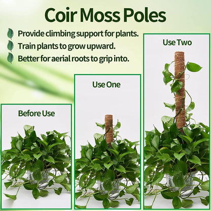 Eibikdi Moss Pole 68in for Plants Monstera 6pcs