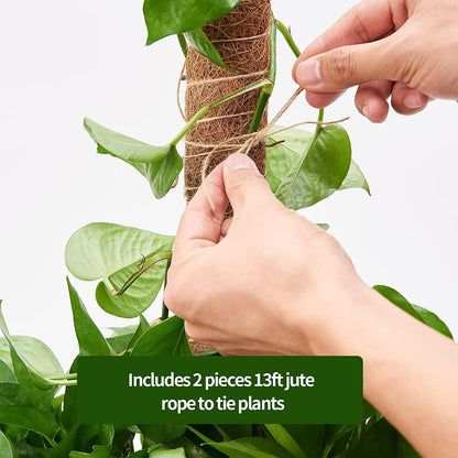 Eibikdi Moss Pole 68in for Plants Monstera 6pcs