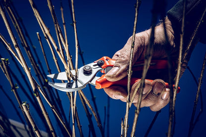 15 Anvil Pruning Shears 15.107 with Bypass Geometry for Small to Medium Hands - Curved, Non-Stick Coated Blade Ideal for Cutting Hard Wood like Linden, Spruce, Larch, and Oak