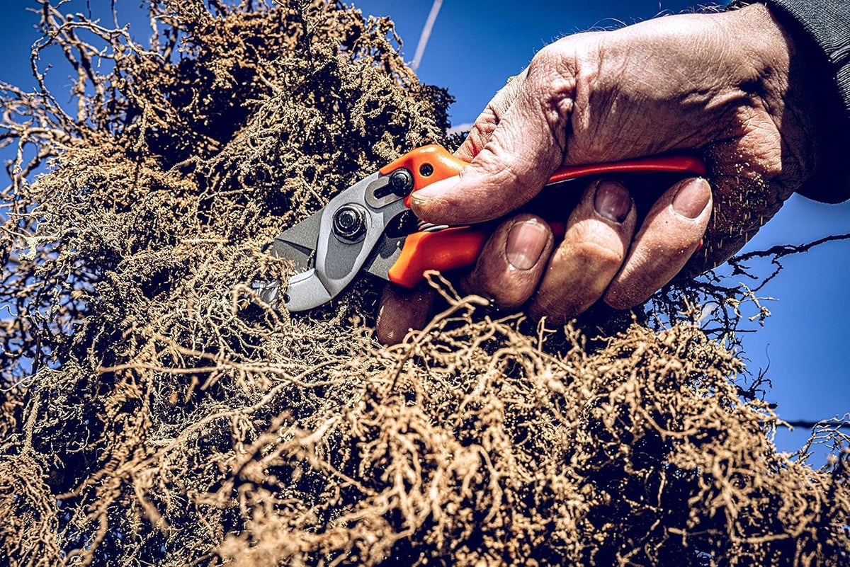 15 Anvil Pruning Shears 15.107 with Bypass Geometry for Small to Medium Hands - Curved, Non-Stick Coated Blade Ideal for Cutting Hard Wood like Linden, Spruce, Larch, and Oak
