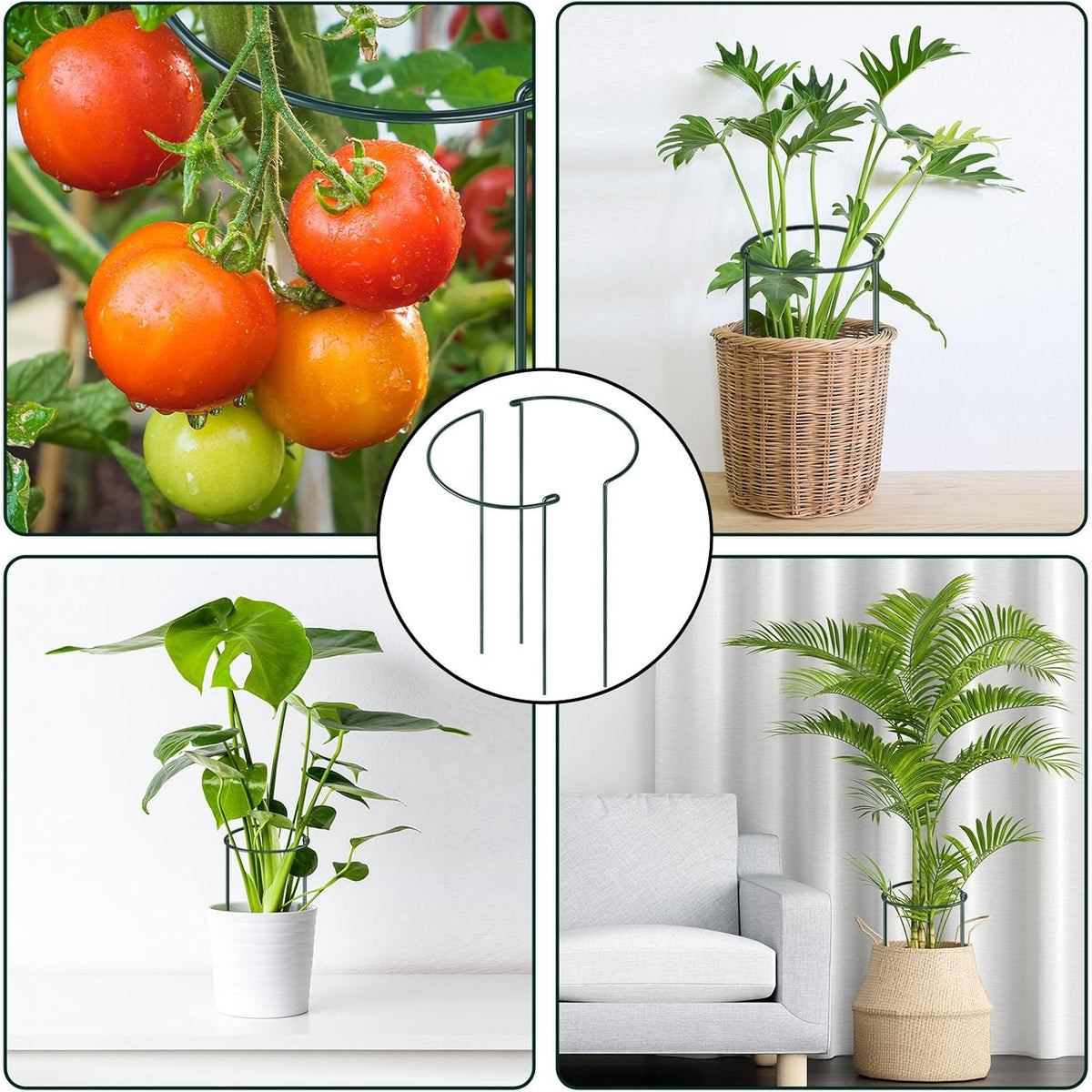 12 Pack 24 Inch Tall Plant Support Stakes, 10" W x 24" H Half Round Peony Cages and Support, Heavy Duty Green Plant Cage Ring Support for Indoor and Outdoor Peony Rose Tomato Hydrangea Flower