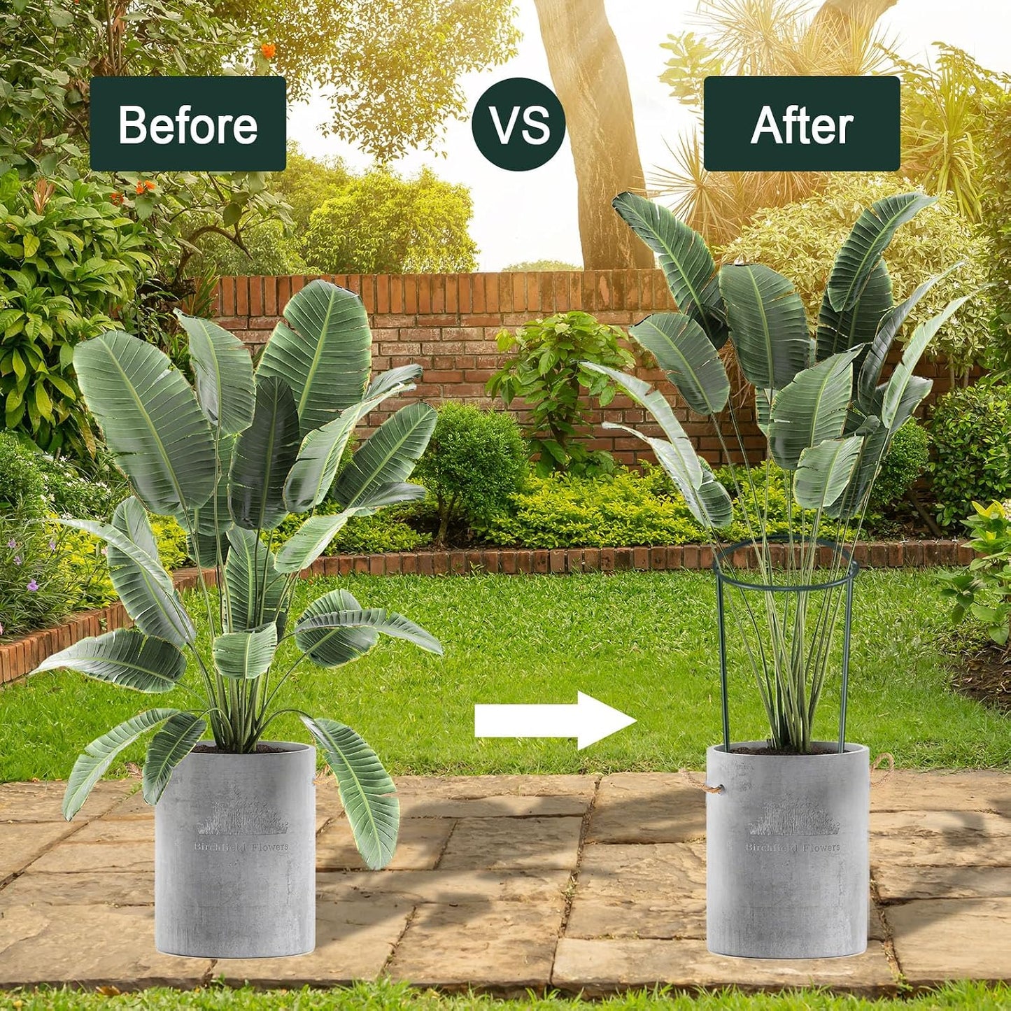 12 Pack 24 Inch Tall Plant Support Stakes, 10" W x 24" H Half Round Peony Cages and Support, Heavy Duty Green Plant Cage Ring Support for Indoor and Outdoor Peony Rose Tomato Hydrangea Flower