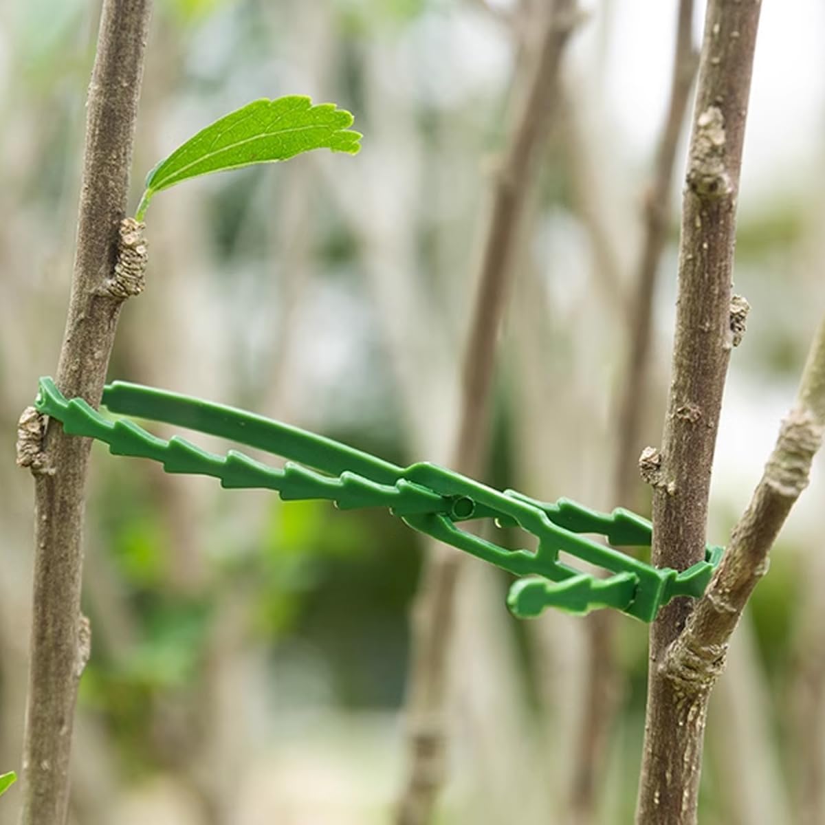 200PCS Adjustable Plant Ties - Flexible Green Multi-Function Sturdy Garden Twist Tie for Plant Support, Tree, Shrub - PT-200