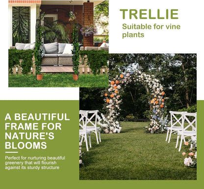 7FT Metal Garden Arch Arbor, Black Trellis Frame