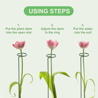 10 Pcs 16 Inch Plant Support Stakes Metal Single stemmed Flower Support Hoops Garden Plant Stakes Plant Prop for Home Outdoor Indoor Amaryllis Orchid Lily Rose Peony Tomatoes Gladiolus