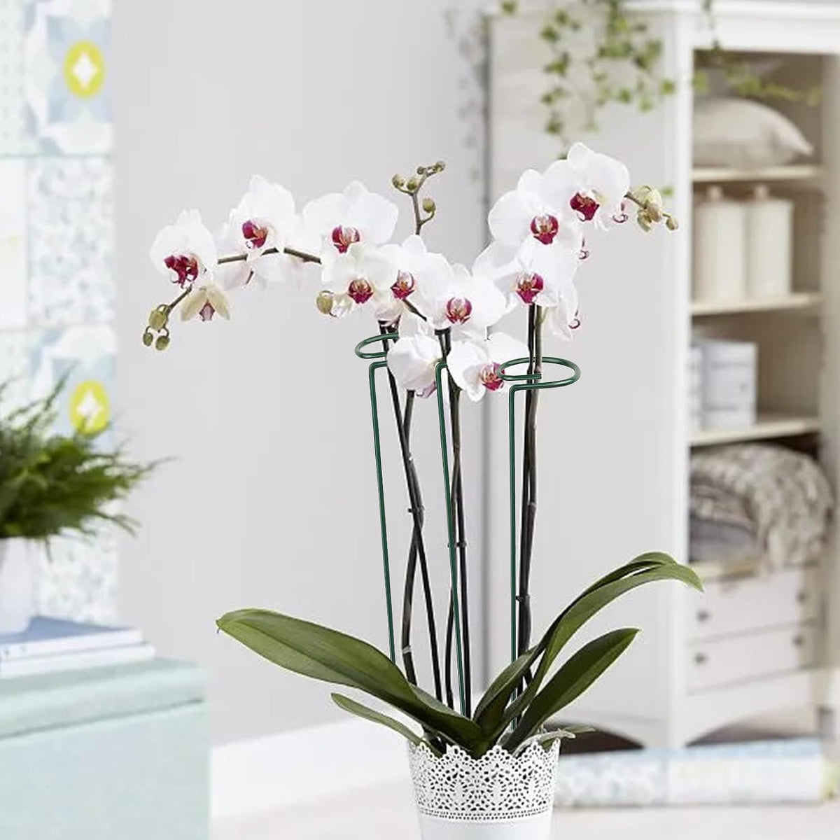 10 Pcs 16 Inch Plant Support Stakes Metal Single stemmed Flower Support Hoops Garden Plant Stakes Plant Prop for Home Outdoor Indoor Amaryllis Orchid Lily Rose Peony Tomatoes Gladiolus