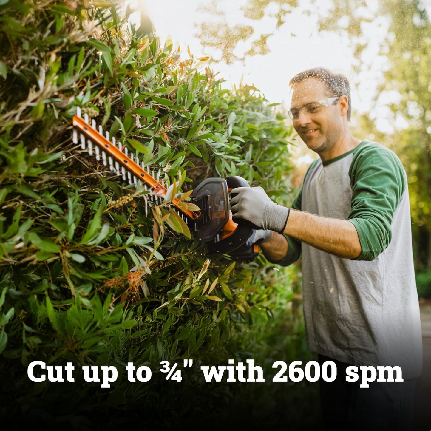 Cordless Hedge Trimmer, 20V 22" Bush Trimmer, WG261