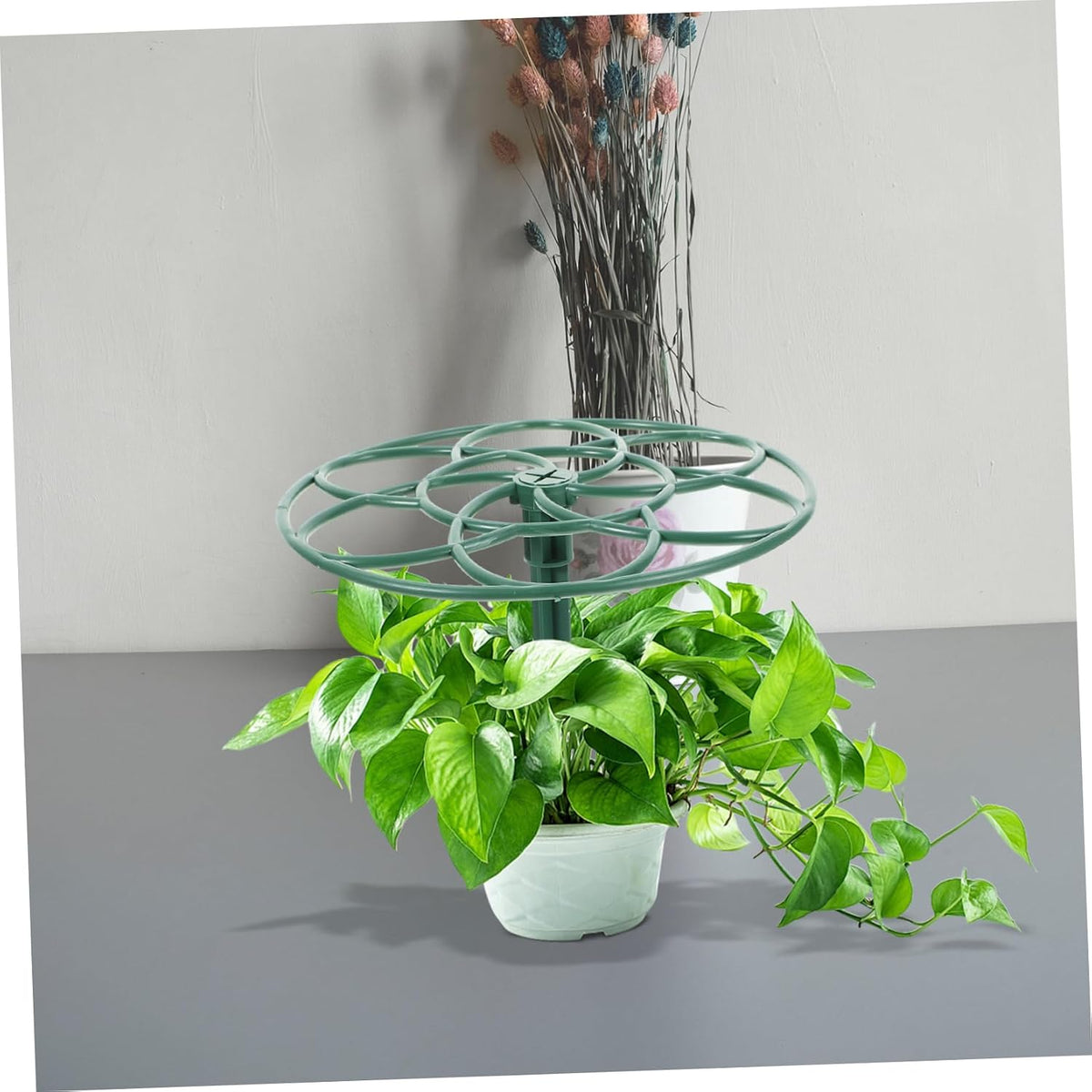 2Pcs Peony Cage Plant Support Stake Grow Through Grid Plant Brace Sunflower Flower Support Rings 28CM for Outdoor Plants Heavy Blossoms