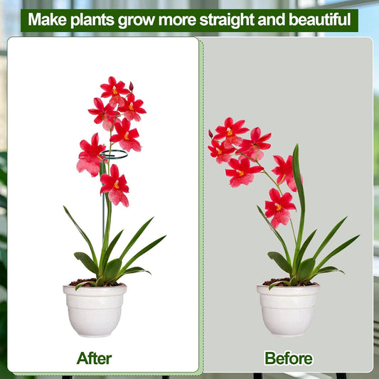6 Sets Plant Stakes 12/25/36 Inch Adjustable Plant Support Stakes Tall for Indoor Outdoor Plant Holder Stick Steel Garden Stem Pole Amaryllis Stakes with 30 Clip for Tomato Orchid Lily Flower