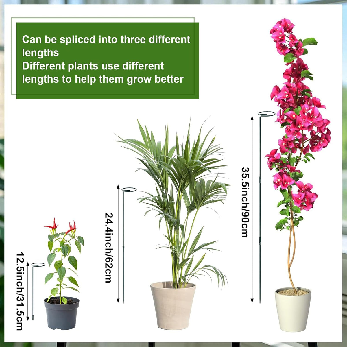 6 Sets Plant Stakes 12/25/36 Inch Adjustable Plant Support Stakes Tall for Indoor Outdoor Plant Holder Stick Steel Garden Stem Pole Amaryllis Stakes with 30 Clip for Tomato Orchid Lily Flower