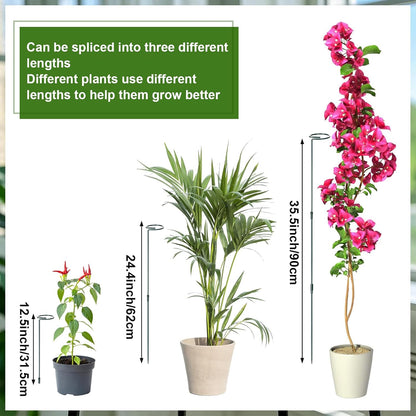 6 Sets Plant Stakes 12/25/36 Inch Adjustable Plant Support Stakes Tall for Indoor Outdoor Plant Holder Stick Steel Garden Stem Pole Amaryllis Stakes with 30 Clip for Tomato Orchid Lily Flower