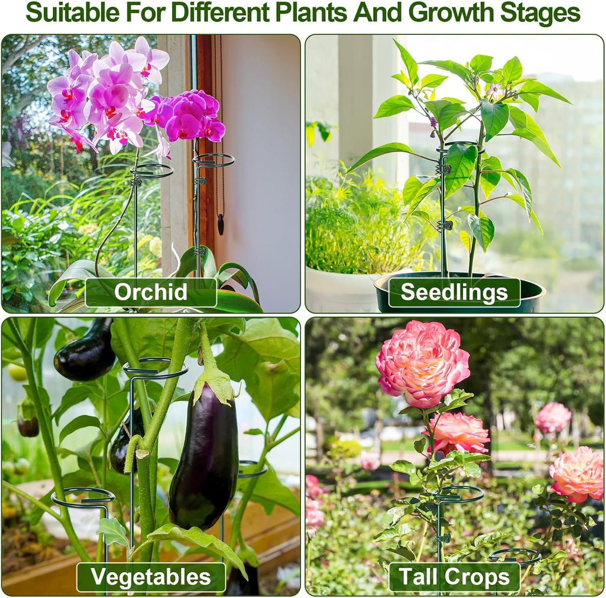 6 Sets Plant Stakes 12/25/36 Inch Adjustable Plant Support Stakes Tall for Indoor Outdoor Plant Holder Stick Steel Garden Stem Pole Amaryllis Stakes with 30 Clip for Tomato Orchid Lily Flower