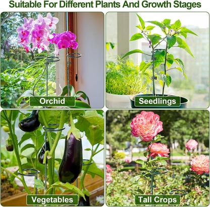 6 Sets Plant Stakes 12/25/36 Inch Adjustable Plant Support Stakes Tall for Indoor Outdoor Plant Holder Stick Steel Garden Stem Pole Amaryllis Stakes with 30 Clip for Tomato Orchid Lily Flower