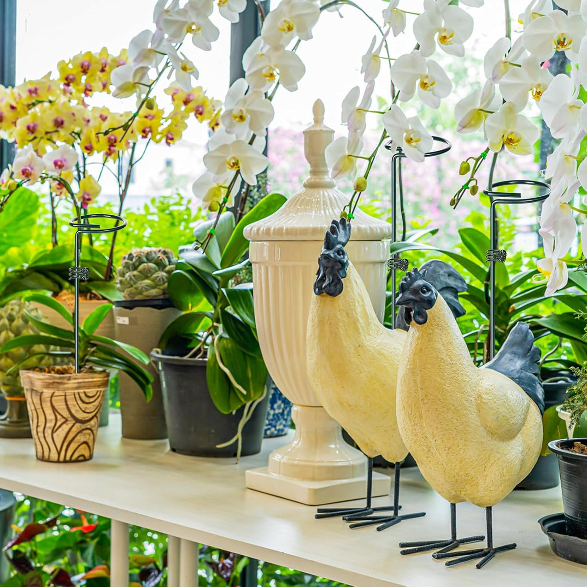 6 Sets Plant Stakes 12/25/36 Inch Adjustable Plant Support Stakes Tall for Indoor Outdoor Plant Holder Stick Steel Garden Stem Pole Amaryllis Stakes with 30 Clip for Tomato Orchid Lily Flower