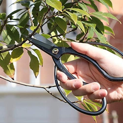 Wazakura Japanese Bonsai Trimming Care Kit Made in Japan - Traditional Bonsai Scissors 7inch(180mm) + Sap Rust Eraser Gift Box Set