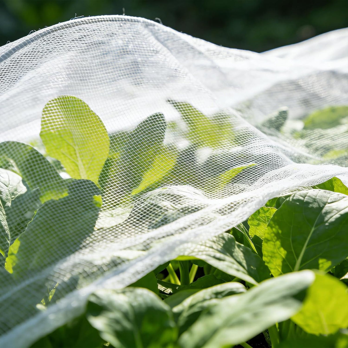 Garden Netting 5'x20' Insect Pest Barrier Bird Netting for Garden Protection,Row Cover Mesh Netting for Vegetables Fruit Trees and Plants,White